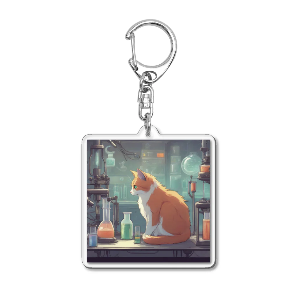 oekakishopの研究する猫 Acrylic Key Chain