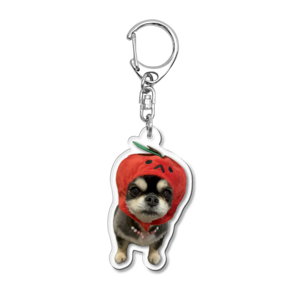 ここまる。🐶🎀のりんごここまる。 Acrylic Key Chain