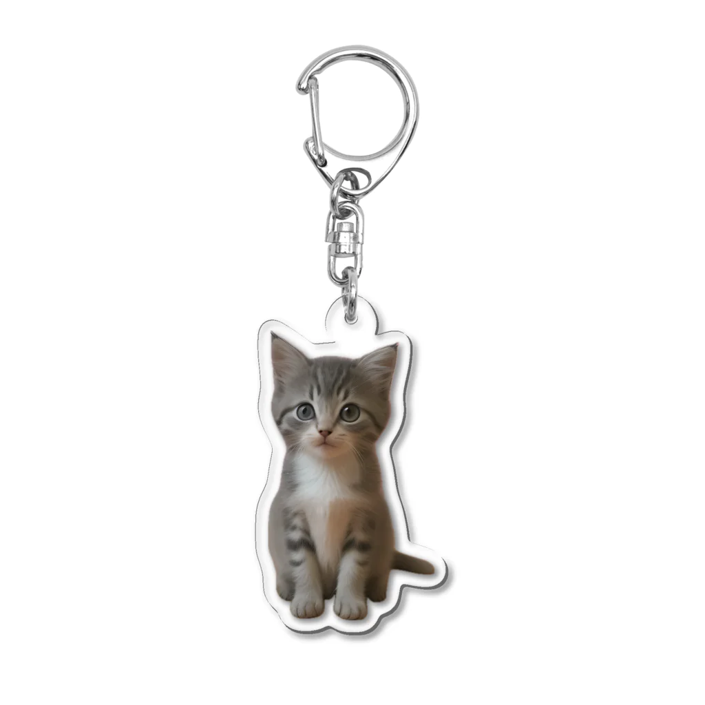 ちびえりshopの見つめる仔猫 Acrylic Key Chain