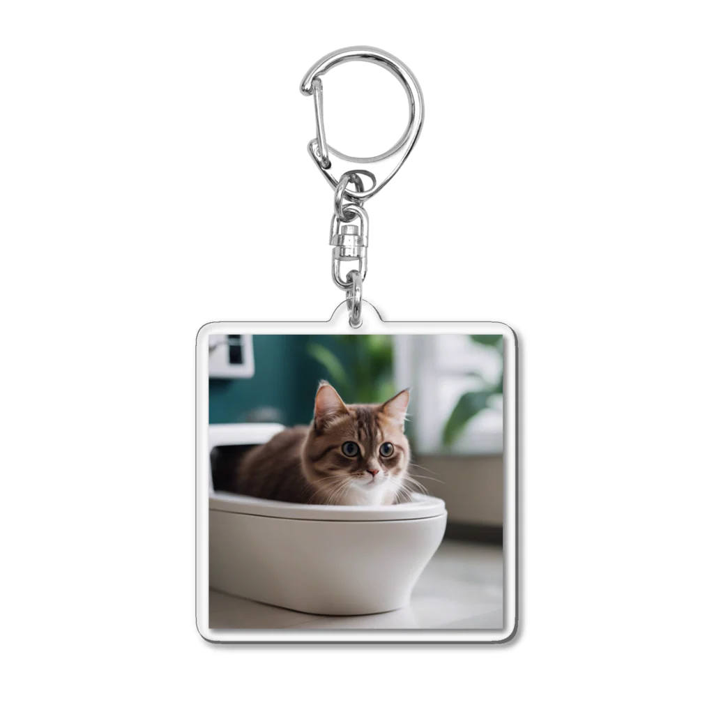 kojakechanのトイレに入るかわいいマンチカンのマカデミアナッツくん Acrylic Key Chain