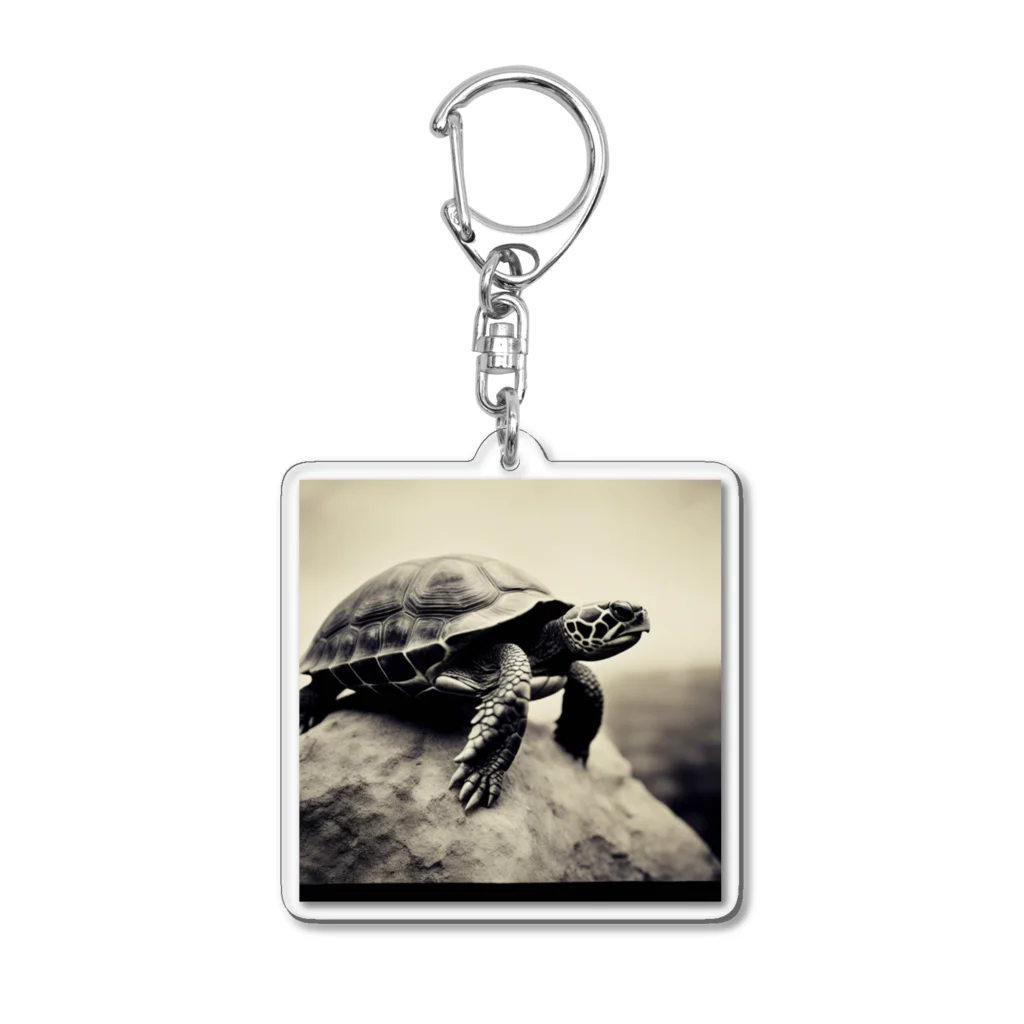 hinn-ketuの３、風に立つカメ Acrylic Key Chain