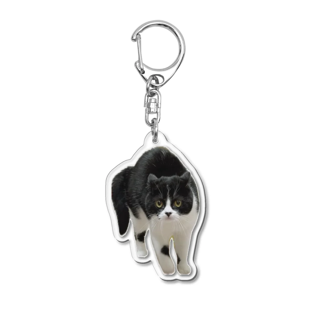 さぶろうまみれ🐾のやんのかさぶろう Acrylic Key Chain