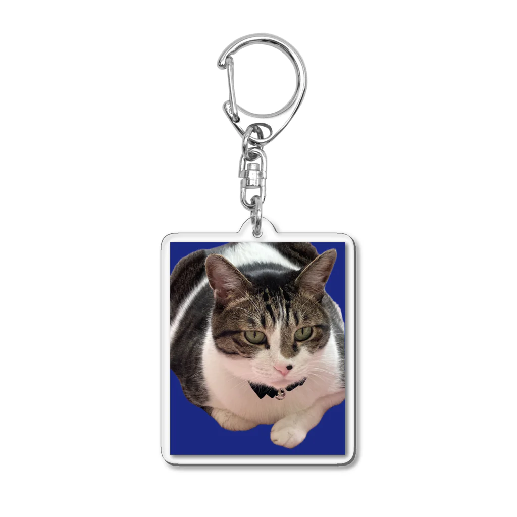 Quucocoのもふねこくうた君 Acrylic Key Chain