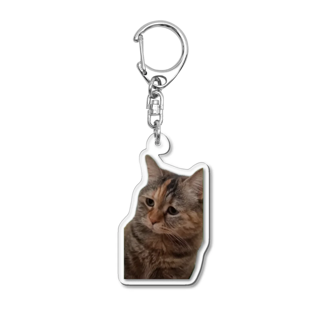 猫ミームグッズの【猫ミーム】叱られる猫 Acrylic Key Chain