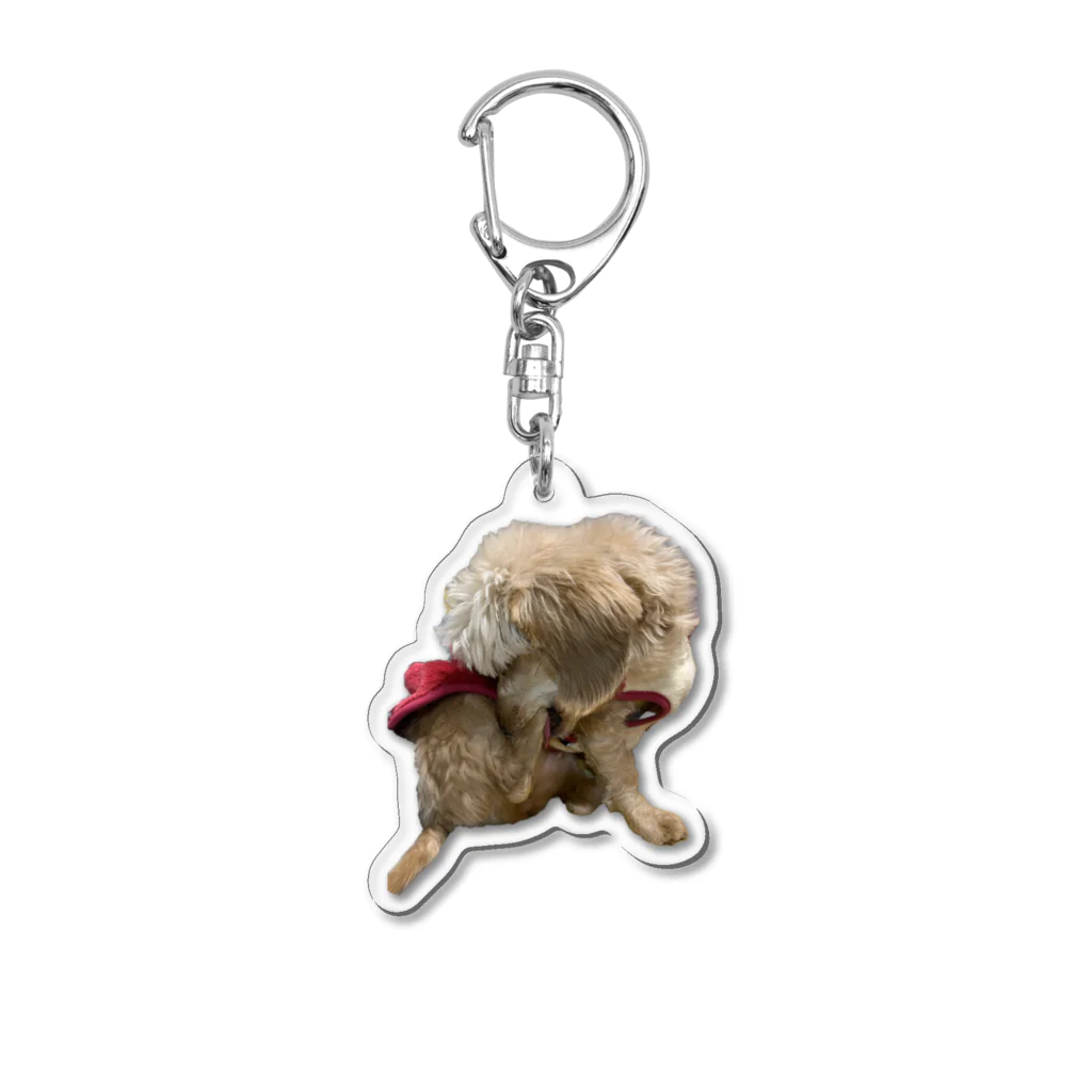 Ruice-Iceの犬　ガジガジ Acrylic Key Chain