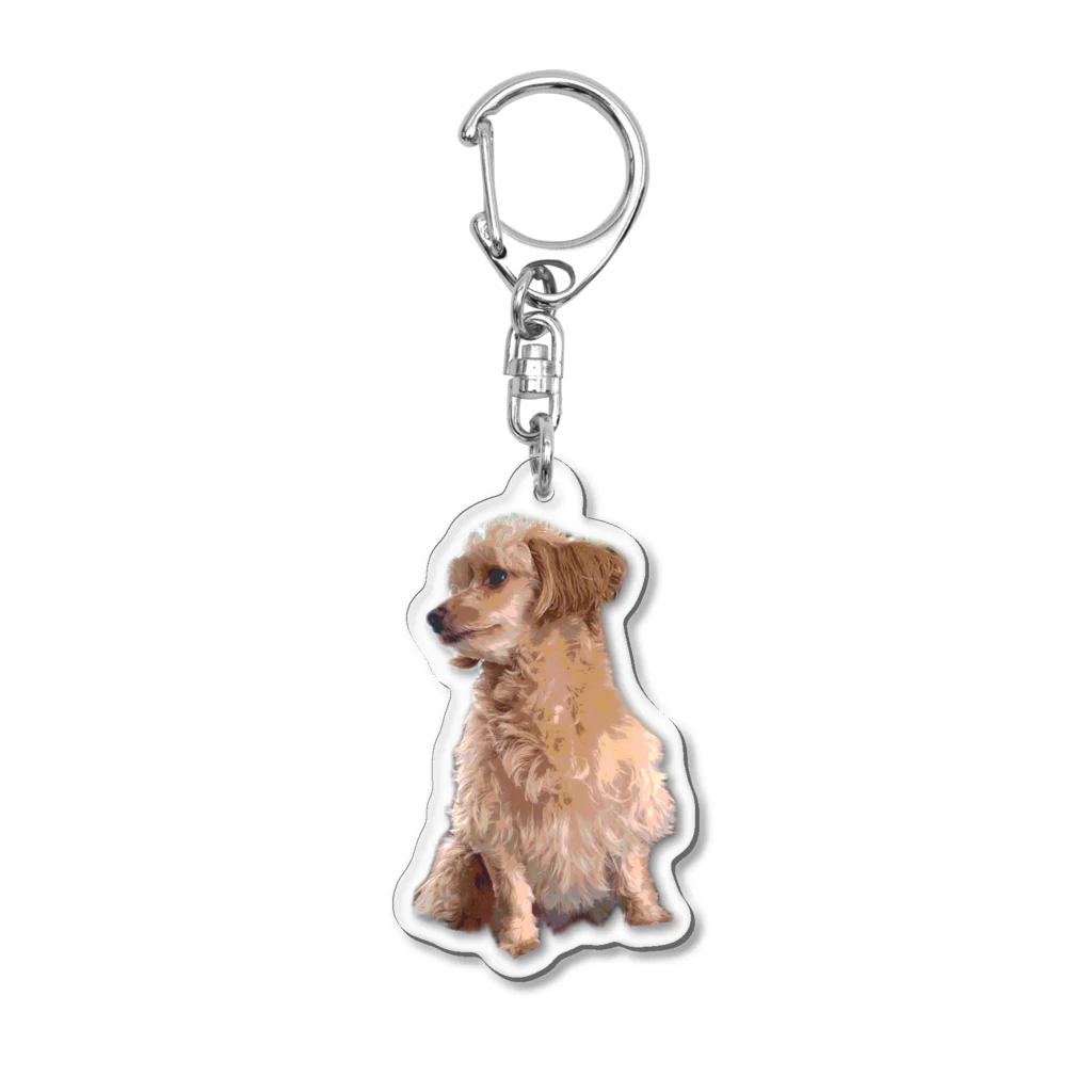 Ruice-Iceの犬　癒し3 Acrylic Key Chain