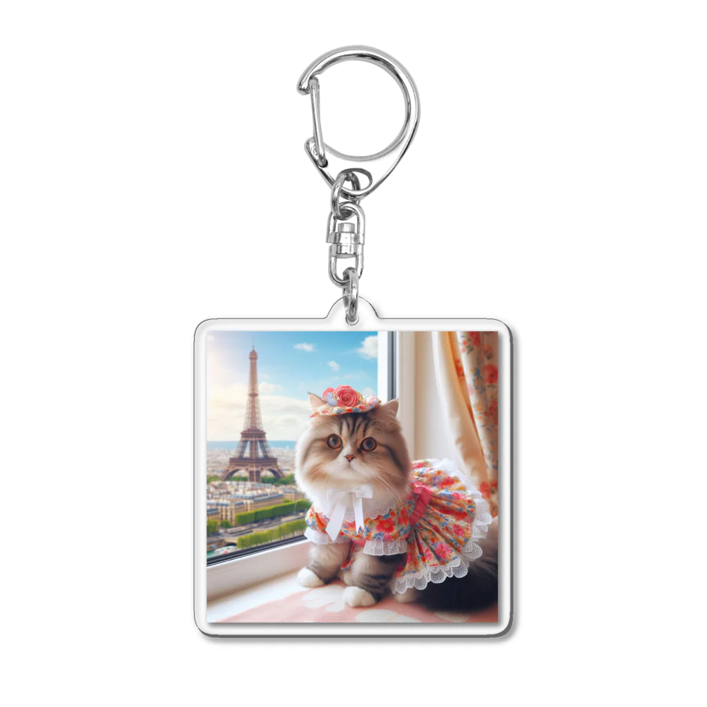 redpanda_pandaのおすまし猫ちゃん Acrylic Key Chain