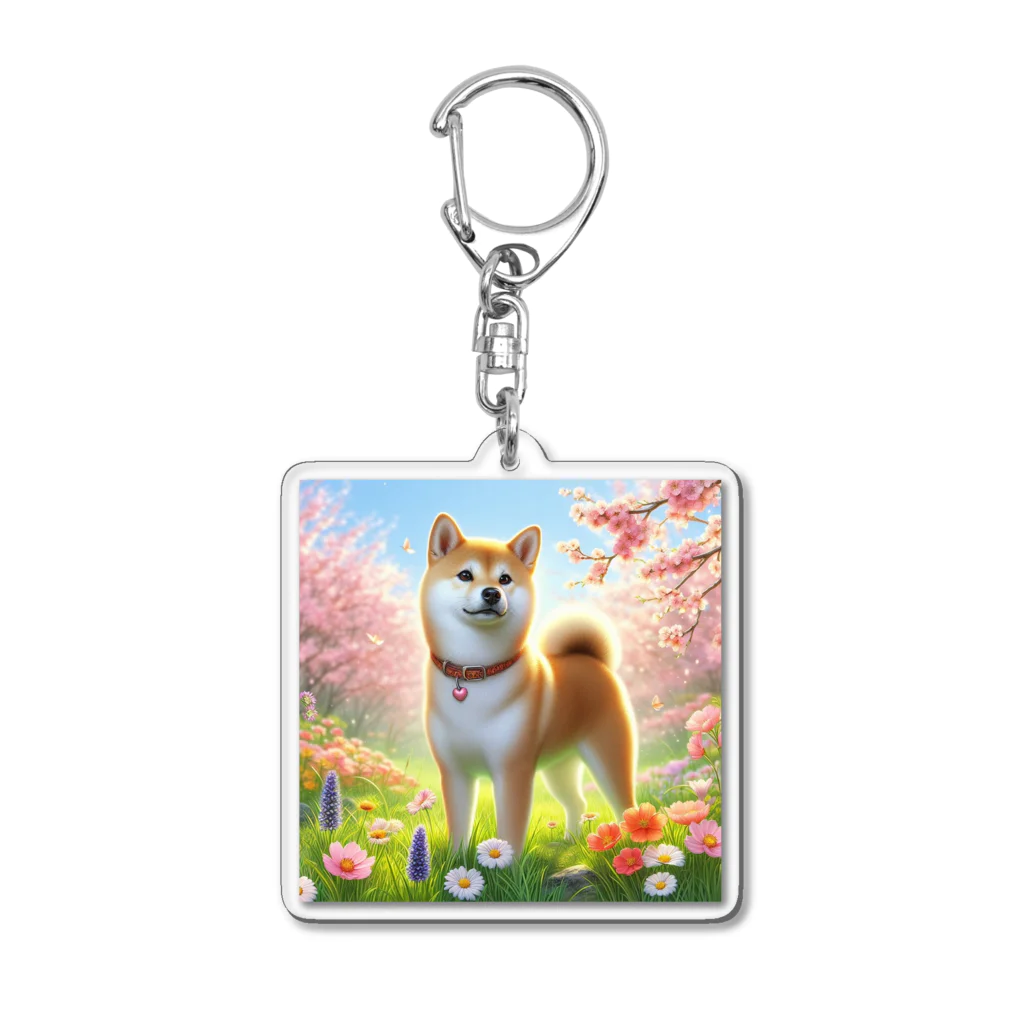 ANTARESの春の柴犬の冒険 Acrylic Key Chain