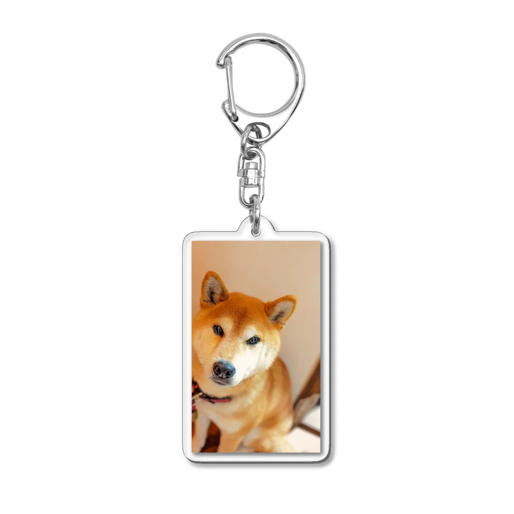 🕊🃏シミアン🦴🐕のおすましナイン君 Acrylic Key Chain