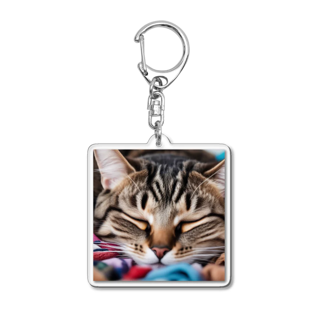 kkbaseballの寝ている猫 Acrylic Key Chain