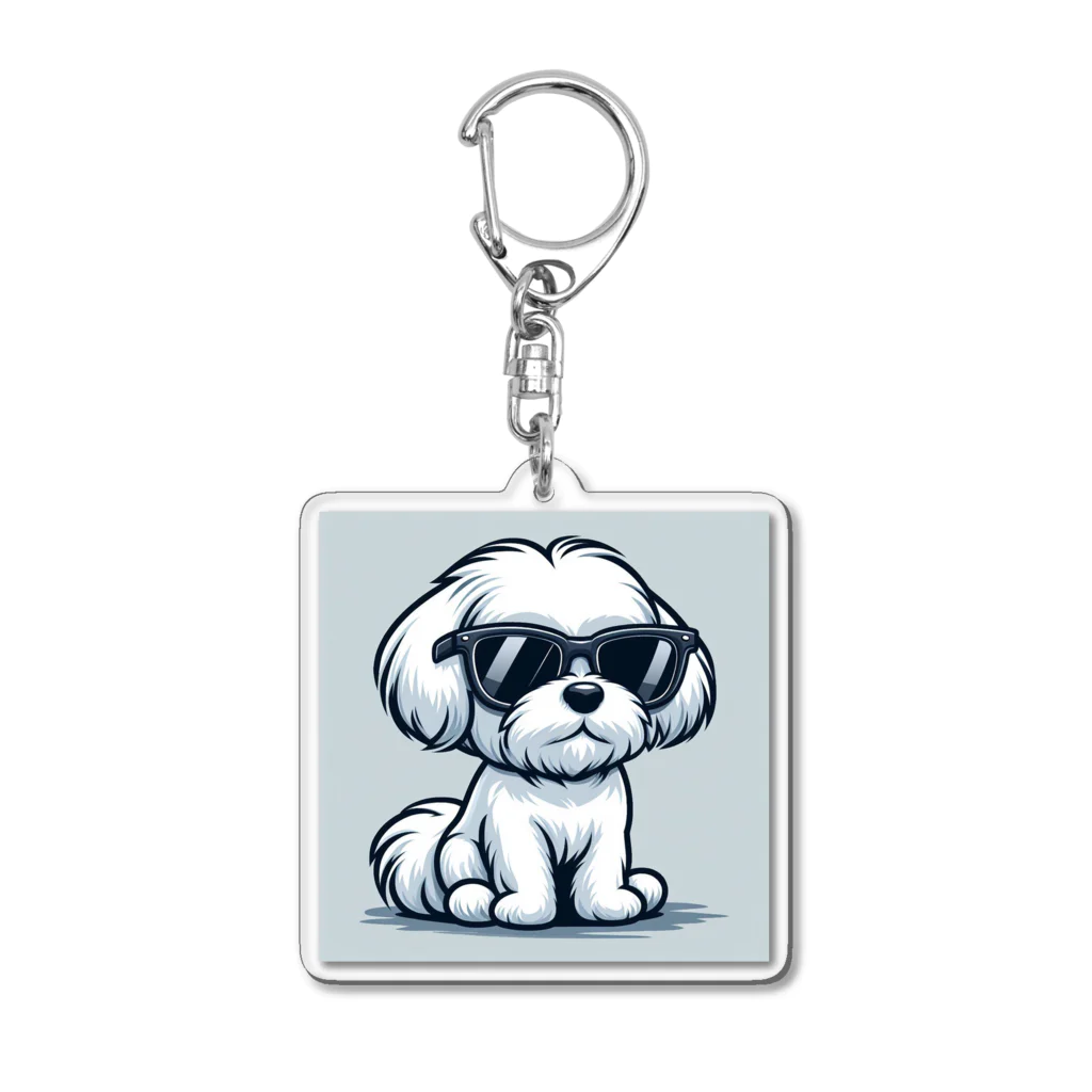 dogfulのスタイリッシュマルチーズ Acrylic Key Chain