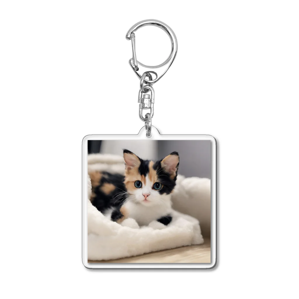 癒しリフレッシュの愛らしい子猫ちゃん Acrylic Key Chain