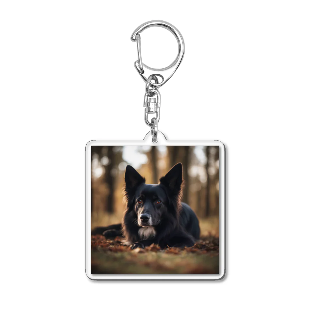 犬太郎の第一弾　『シャドウ』 Acrylic Key Chain