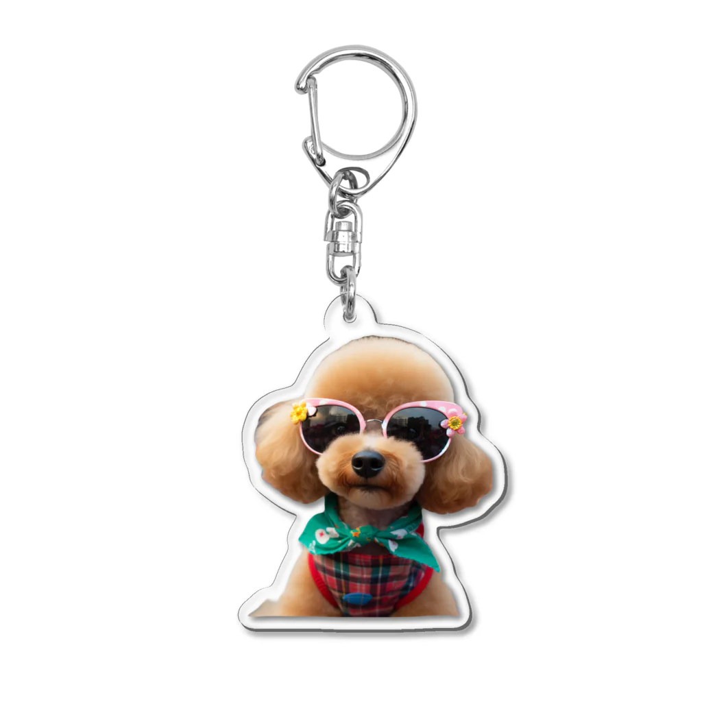 TABO1192のトイプードルのひかるくん Acrylic Key Chain