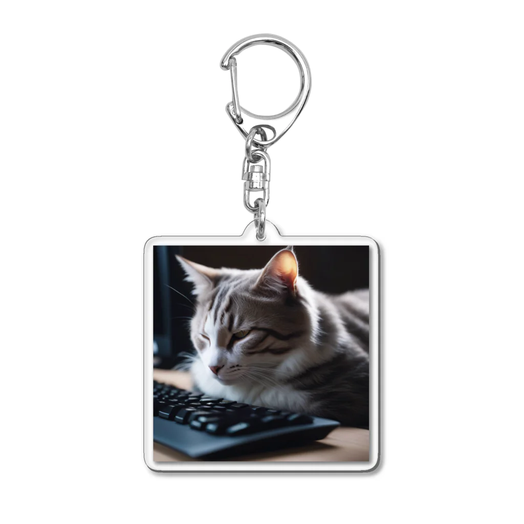 tomozo777のキーボードの前で寝る猫 Acrylic Key Chain