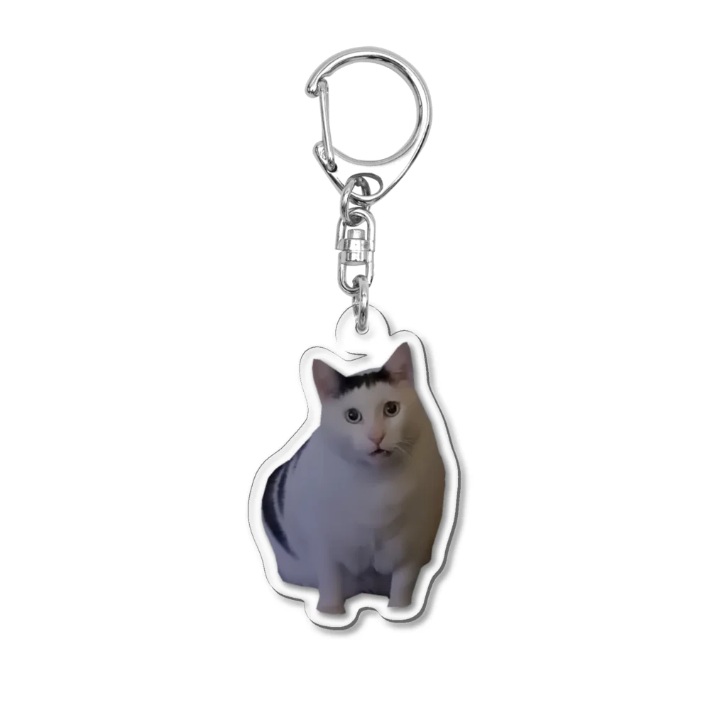 haiironeko00zezeのは？ Acrylic Key Chain