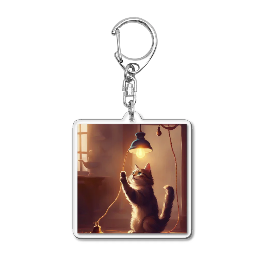 スウィート・アニマル・アートの電気付ける猫ちゃん Acrylic Key Chain