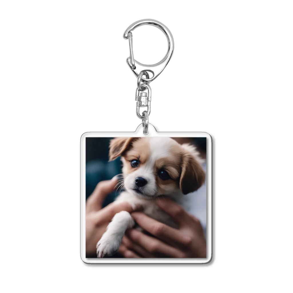 maru1515のわんこ Acrylic Key Chain