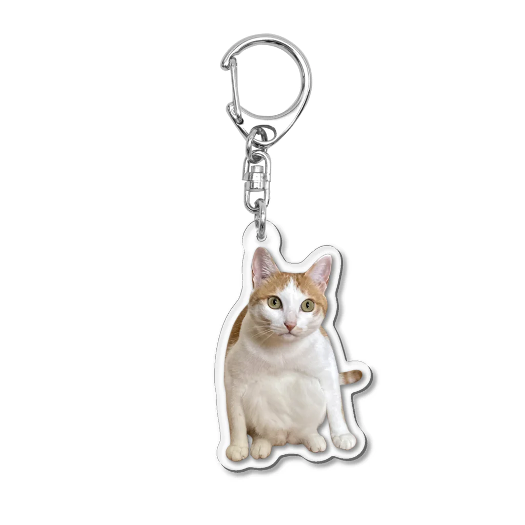 にゃんこ編集部オフィシャルショップのゆらゆらアクキー　めいちゃん Acrylic Key Chain