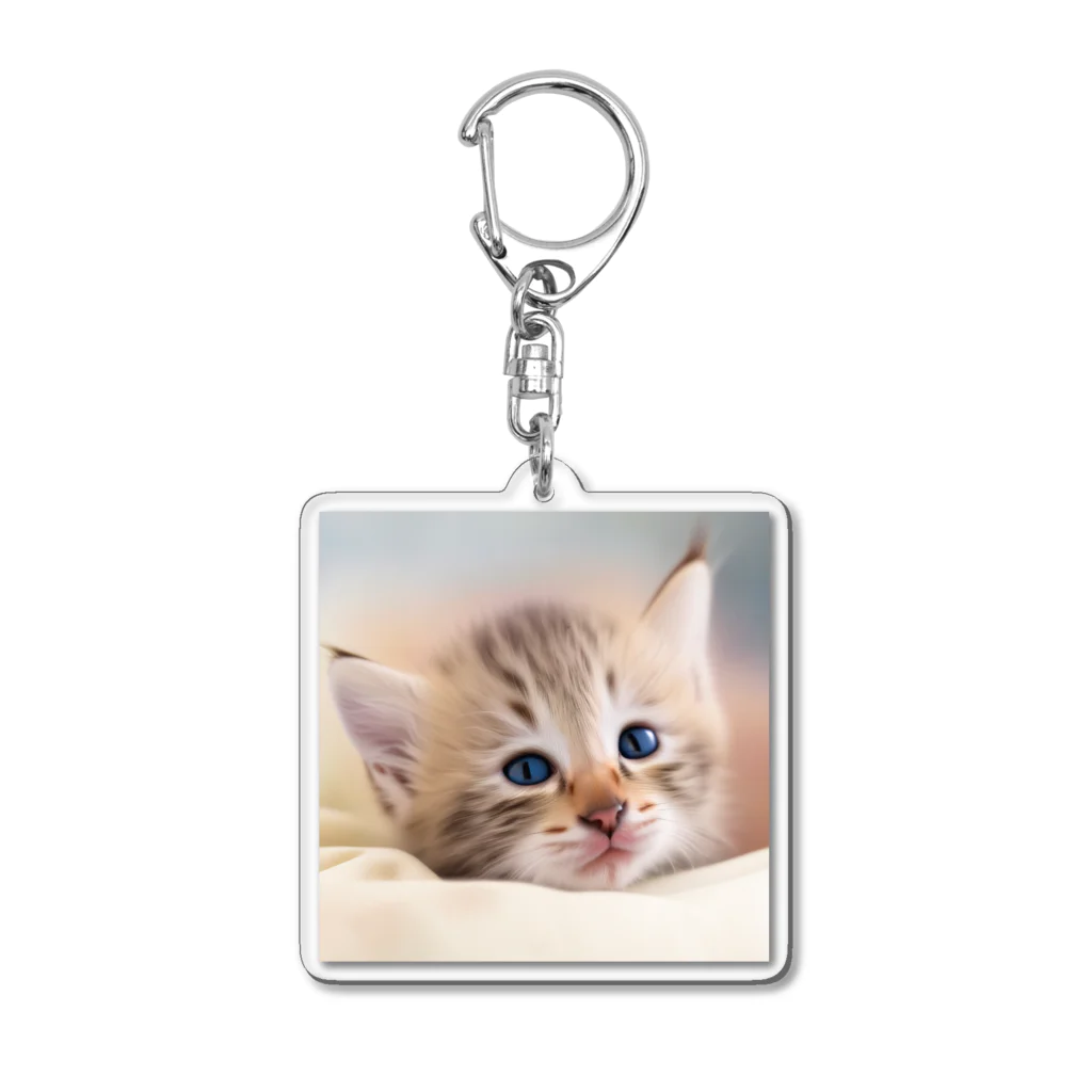 ks-staffの😺癒し猫シリーズ💖 Acrylic Key Chain