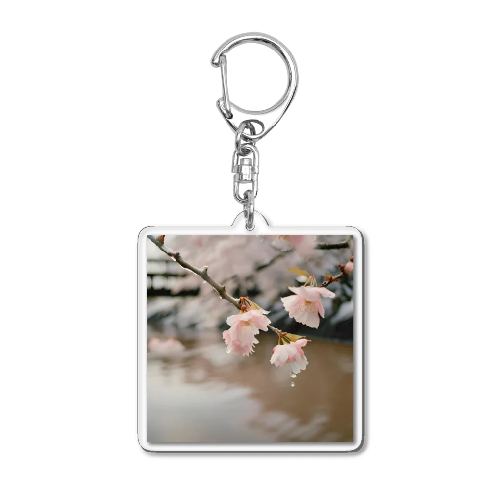 aiai0987の絶景シリーズ Acrylic Key Chain