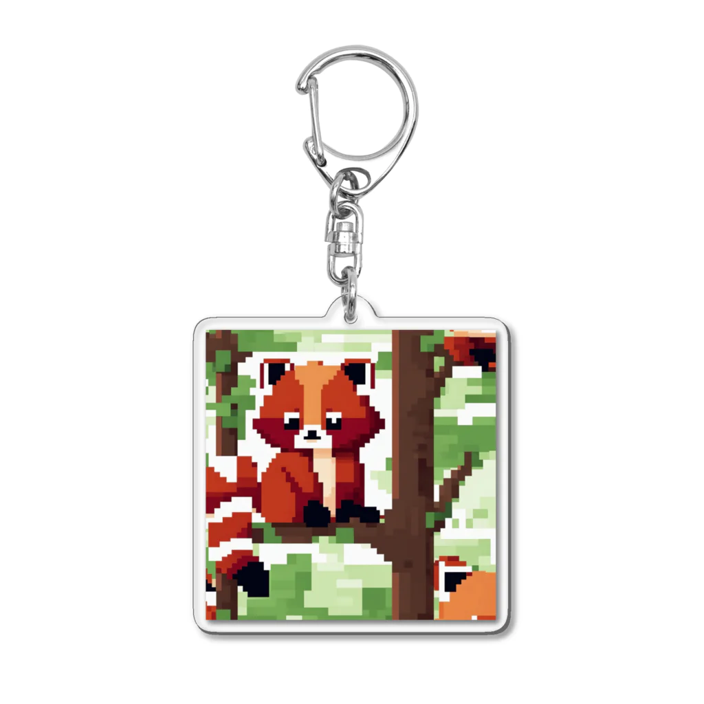 shoheiiwasaのアライグマ Acrylic Key Chain