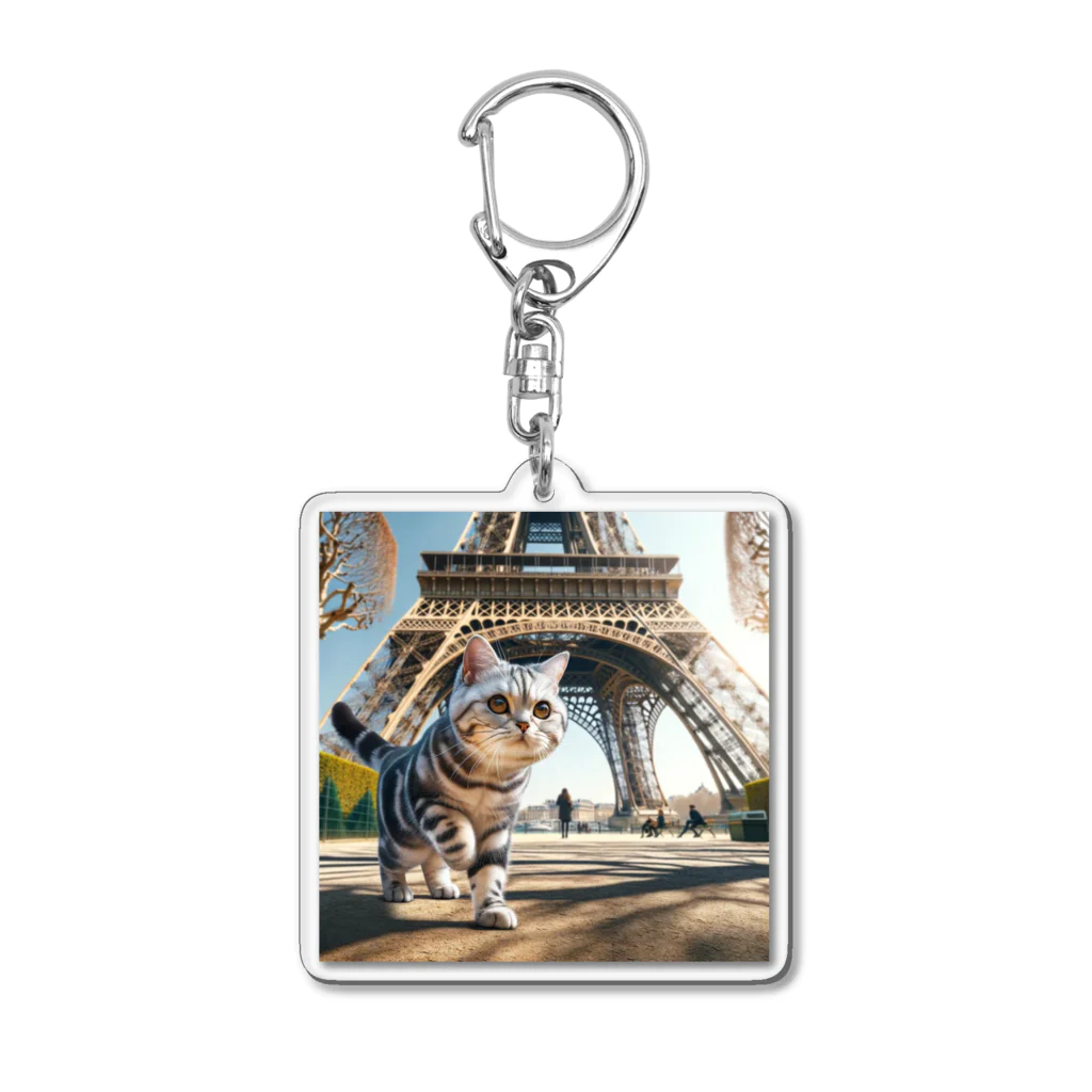 japantravelの猫のパリ散歩 Acrylic Key Chain