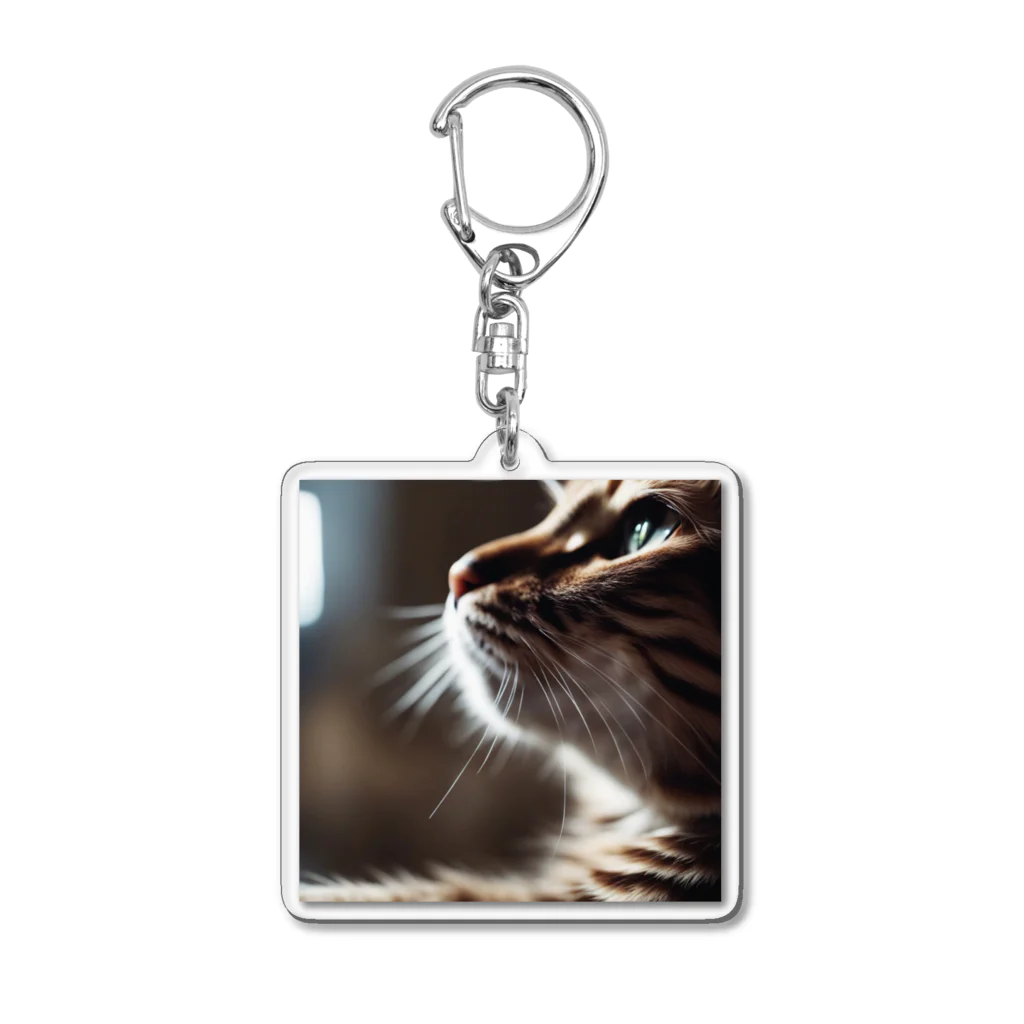 feliceの窓辺で風を感じている猫 Acrylic Key Chain