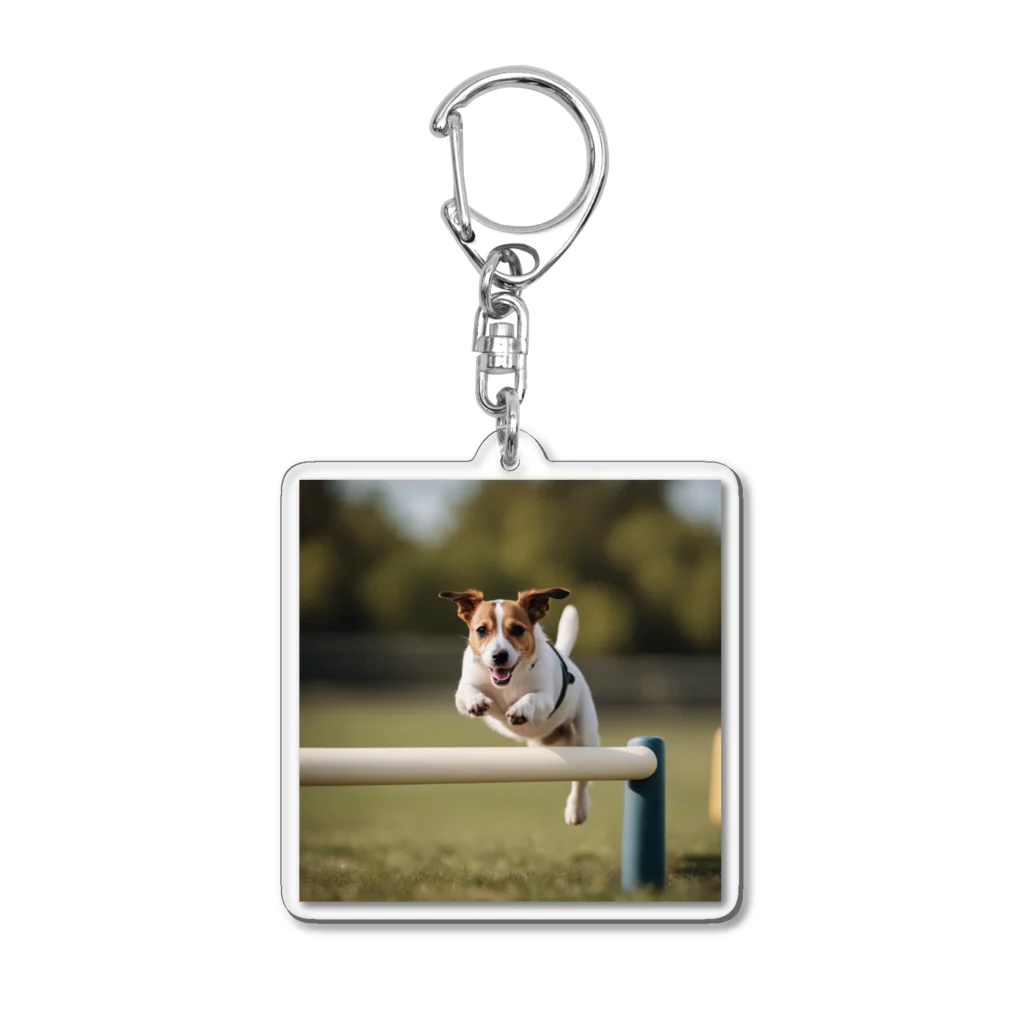 jackrussellvibes___のハードルをジャンプしているジャックラッセルテリア Acrylic Key Chain