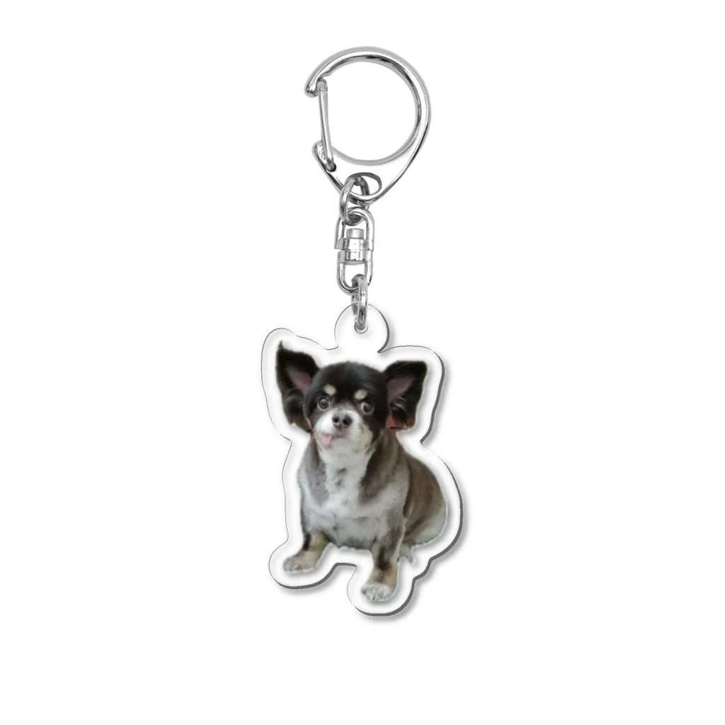 遥ん/犬顔絵　のチキンちゃん　キーホルダー Acrylic Key Chain