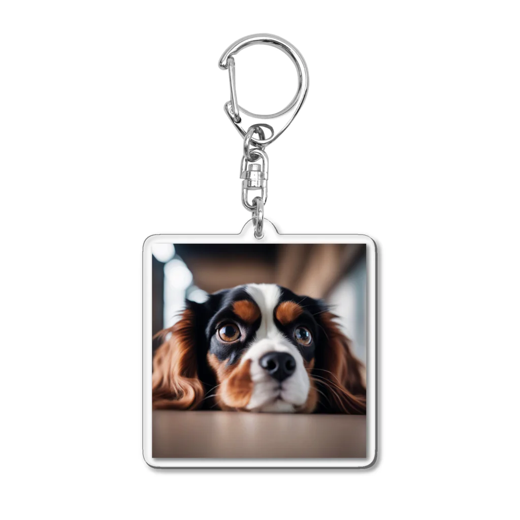 LoraCafeの見つめてBarry Acrylic Key Chain