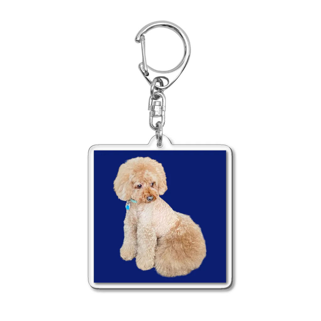 chiro2015のトイプードルのチロ君♂ Acrylic Key Chain