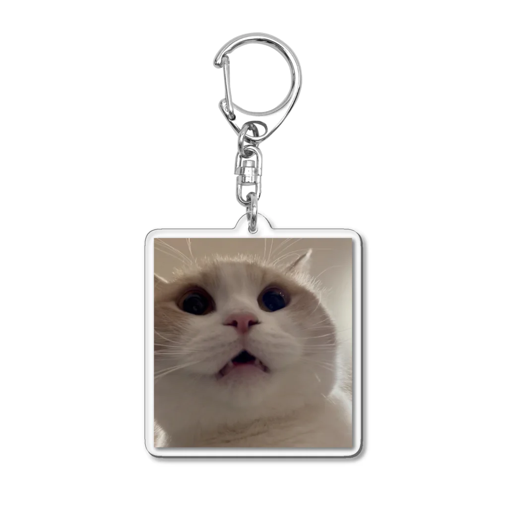 neko_muchamaru_shopのふんぬ！むちゃまる Acrylic Key Chain