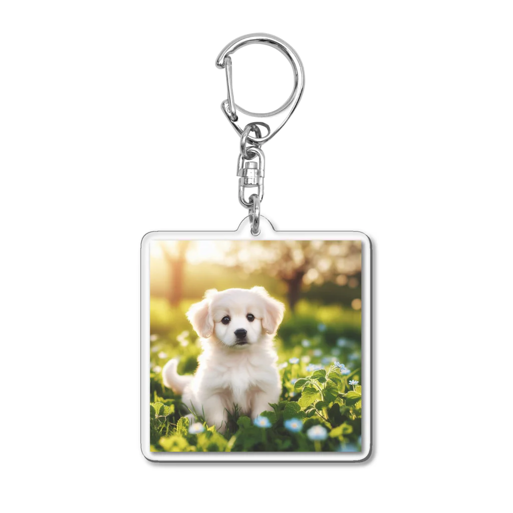 DOG SHOP🐕のふわふわワンちゃんグッズ Acrylic Key Chain