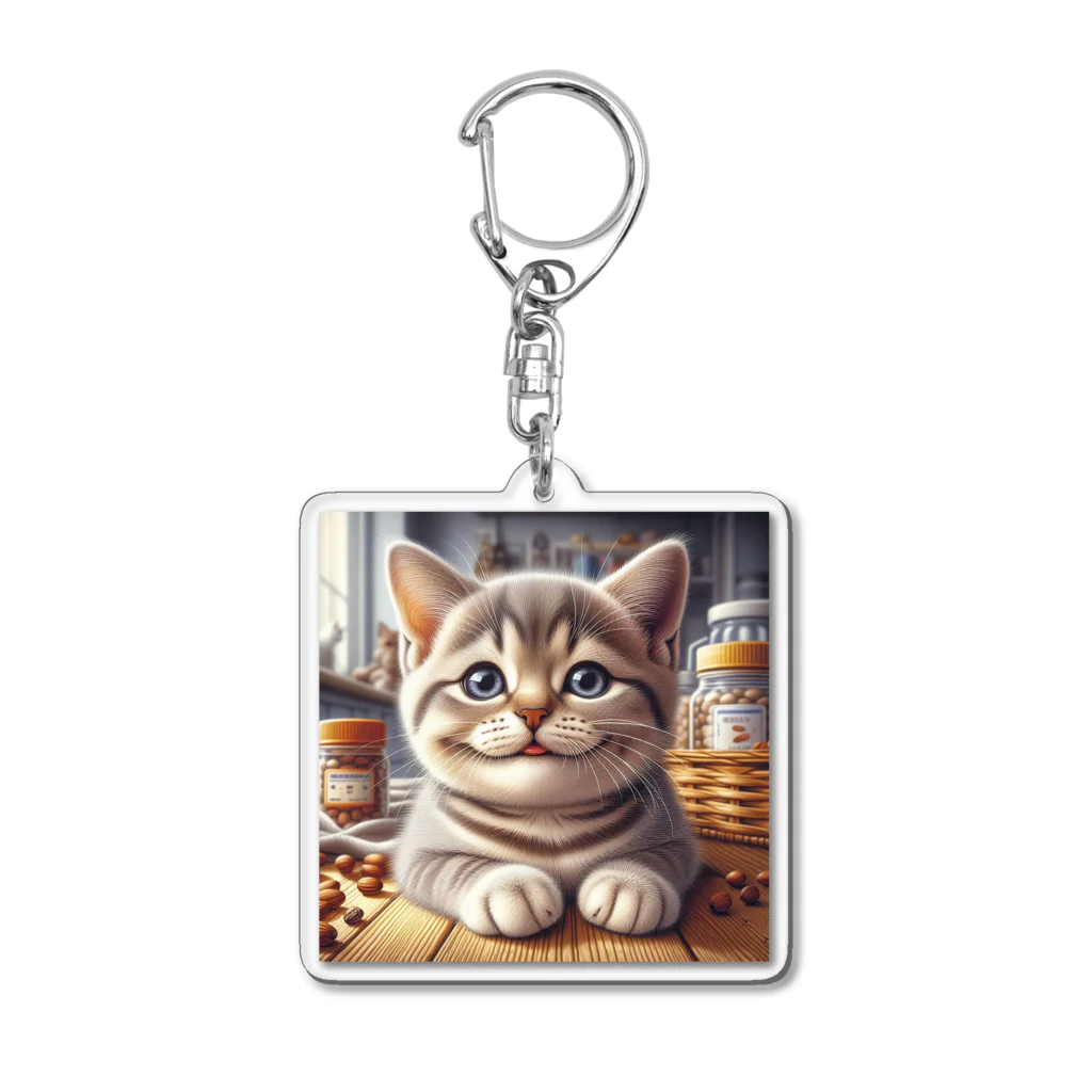 kangekiの日向のにゃんこNo.2 Acrylic Key Chain