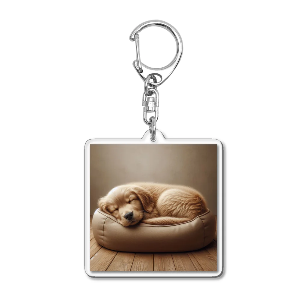 bibiboshopの犬 Acrylic Key Chain