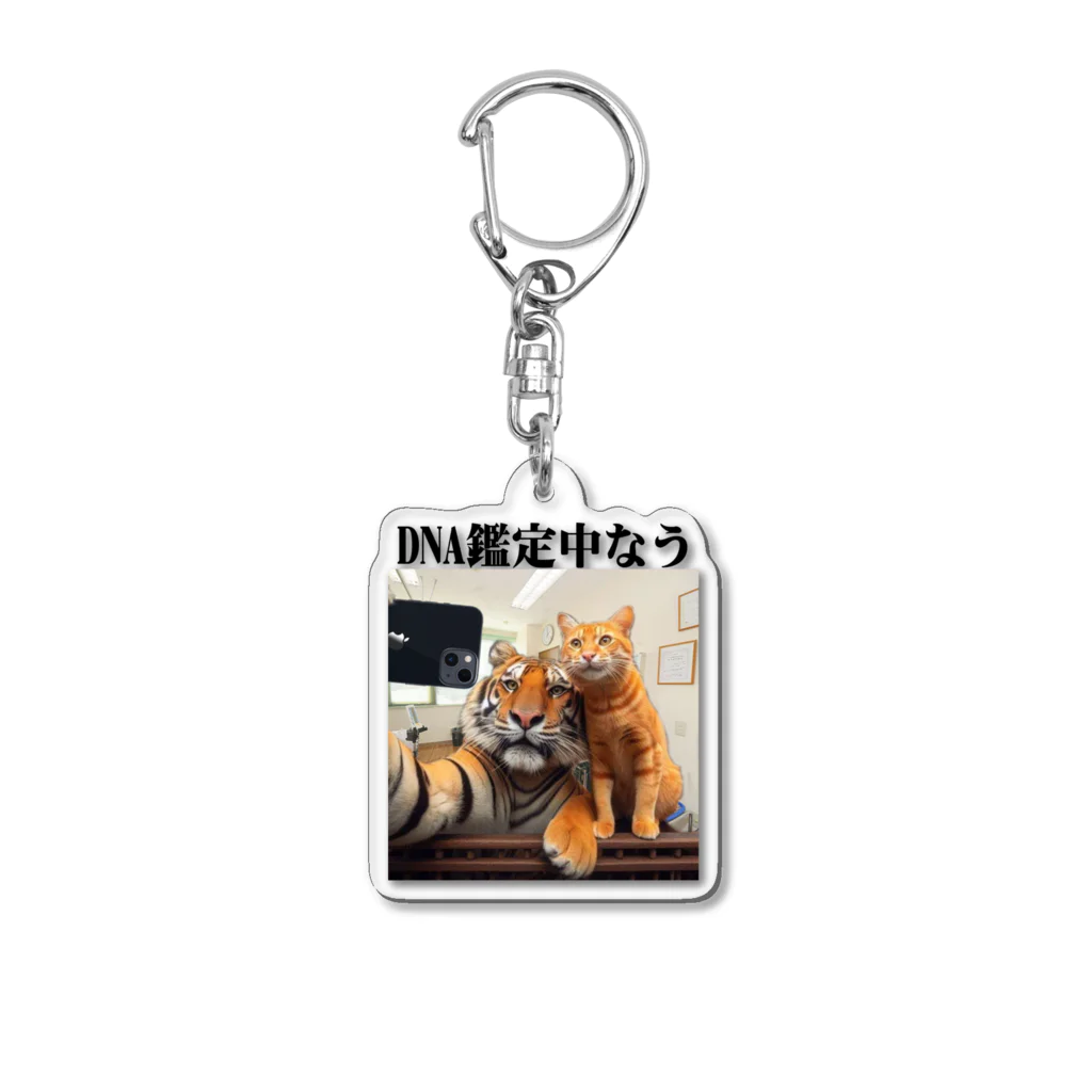 ニゴ猫　shopのDNA鑑定中なう Acrylic Key Chain