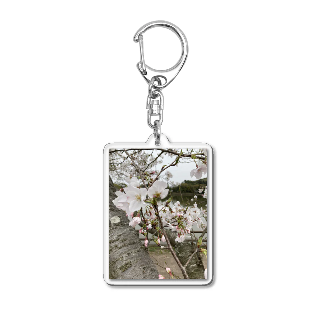 tksの春の顔サクラ Acrylic Key Chain