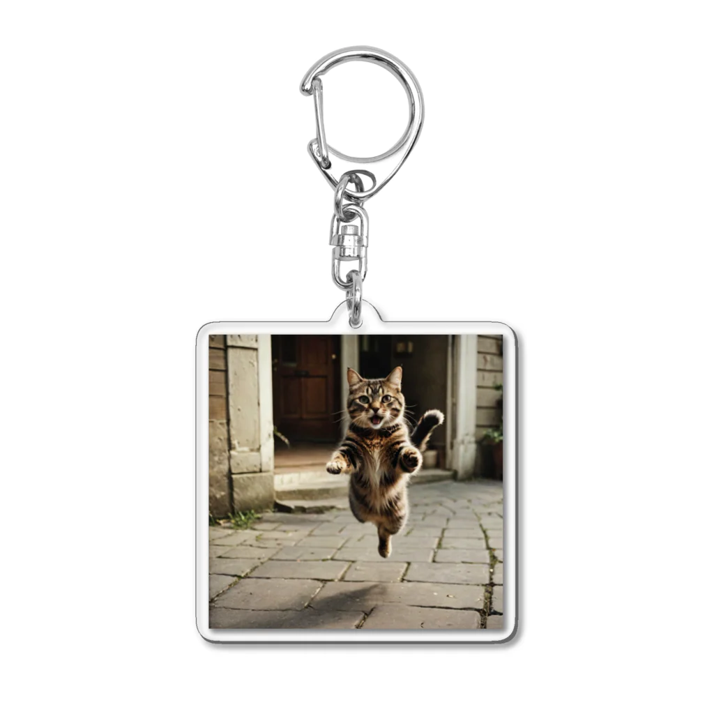 Suminekoのジャンプする猫さん Acrylic Key Chain