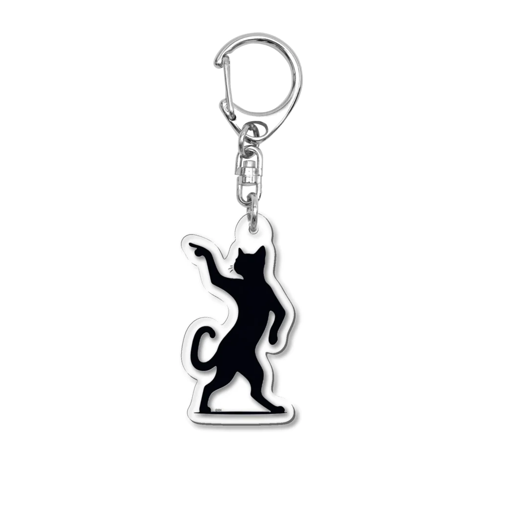 lblのスーパースターな猫 Acrylic Key Chain
