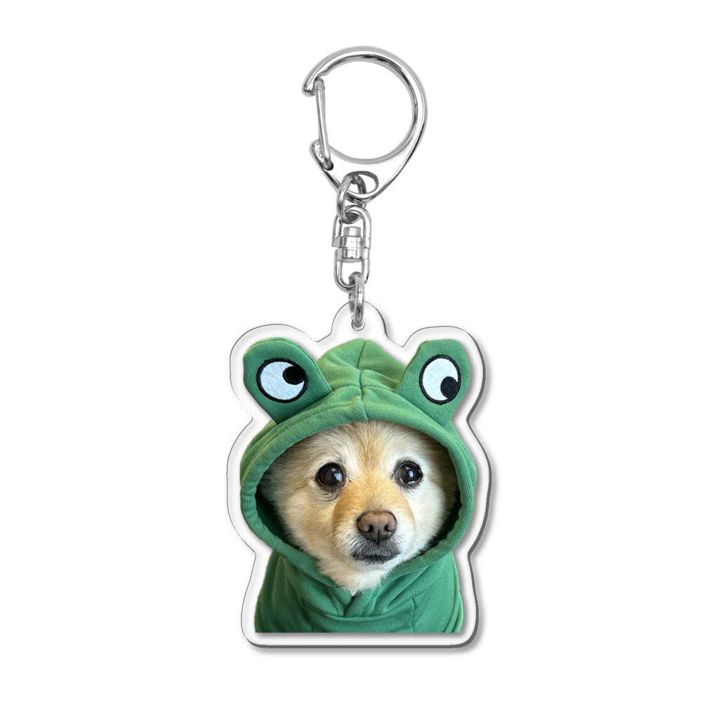 ポメラニアンのポメくんのポメラニアンのポメくん Acrylic Key Chain