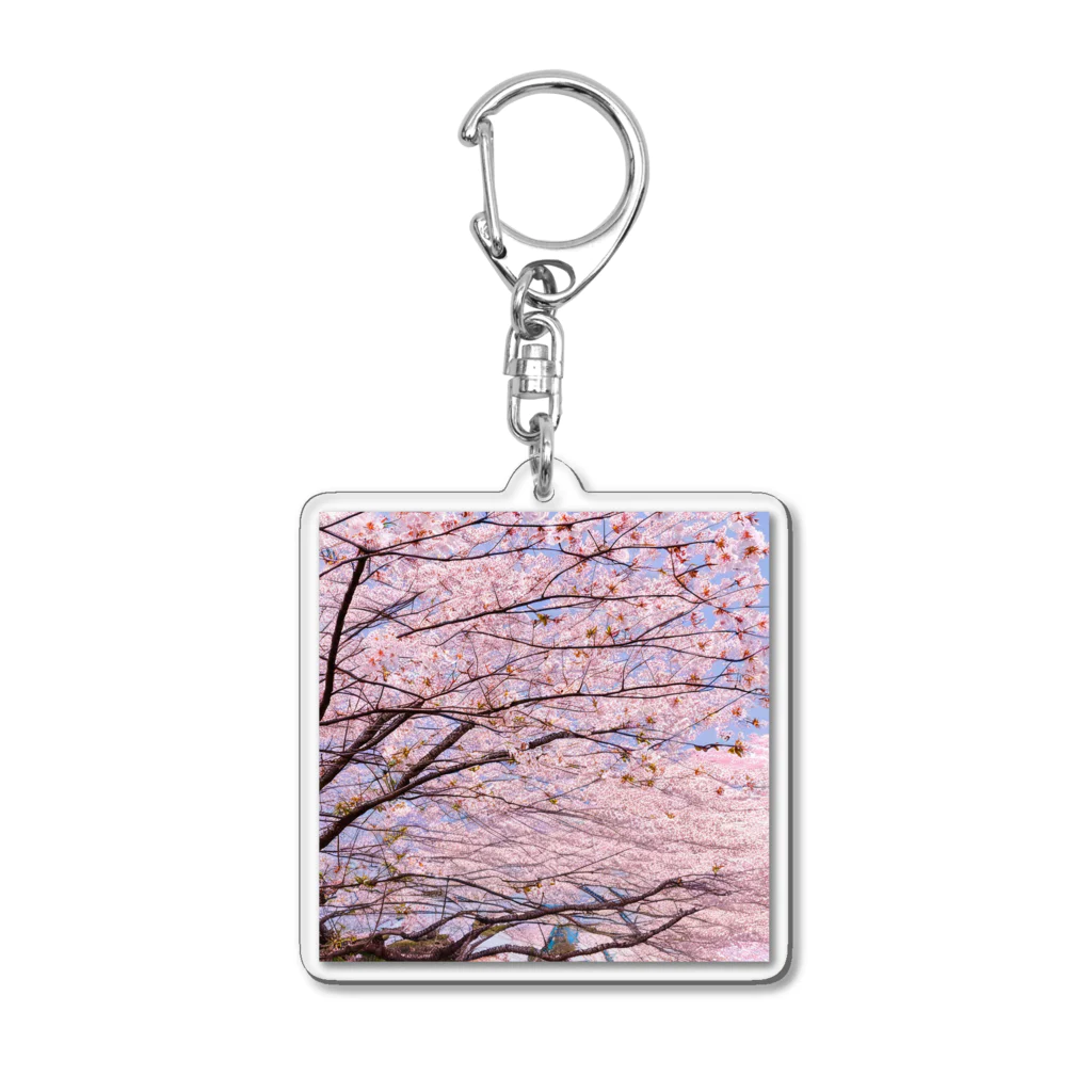 辺賦志ショップの美しき桜 Acrylic Key Chain