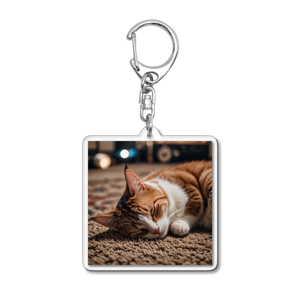 IKEDAYAの寝ている猫 Acrylic Key Chain