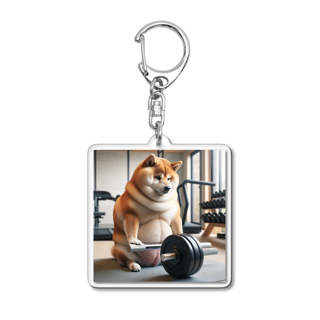 Shiba_JPのSHIBA INU COLLECTION 3 Acrylic Key Chain