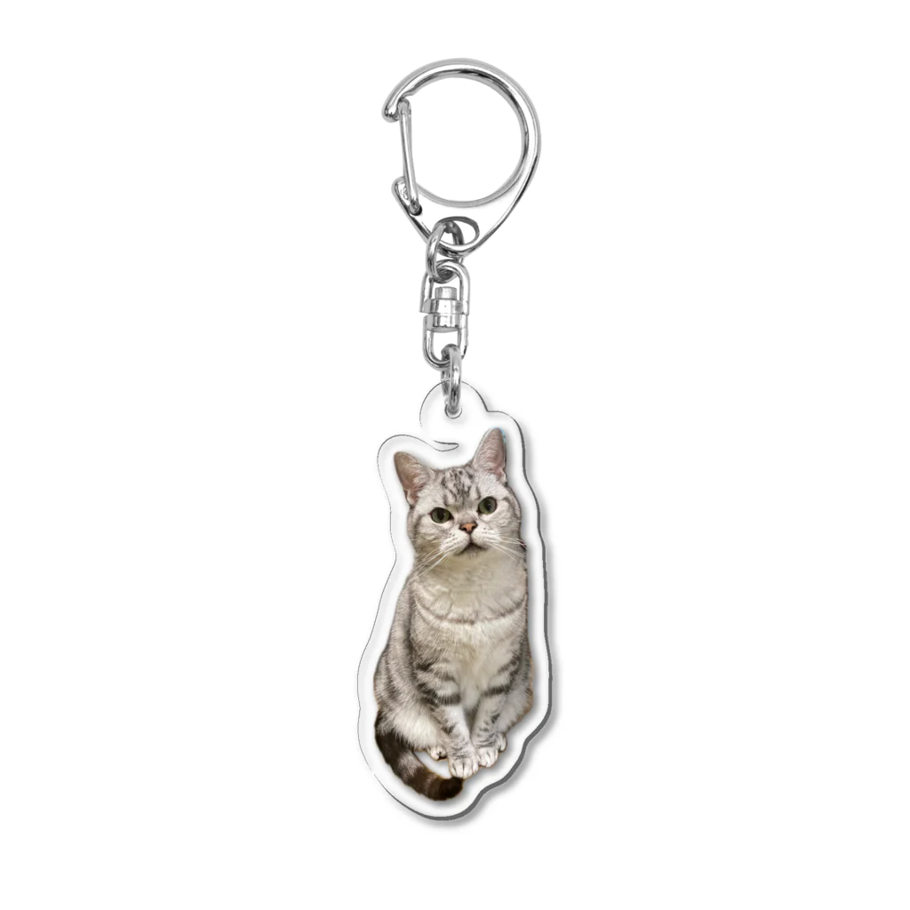 うちの猫ちゃんたちの数少ない美男子とらと Acrylic Key Chain