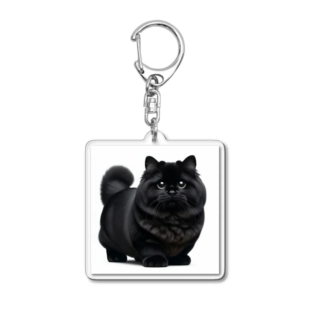 しょっぷトミィの黒猫 Acrylic Key Chain