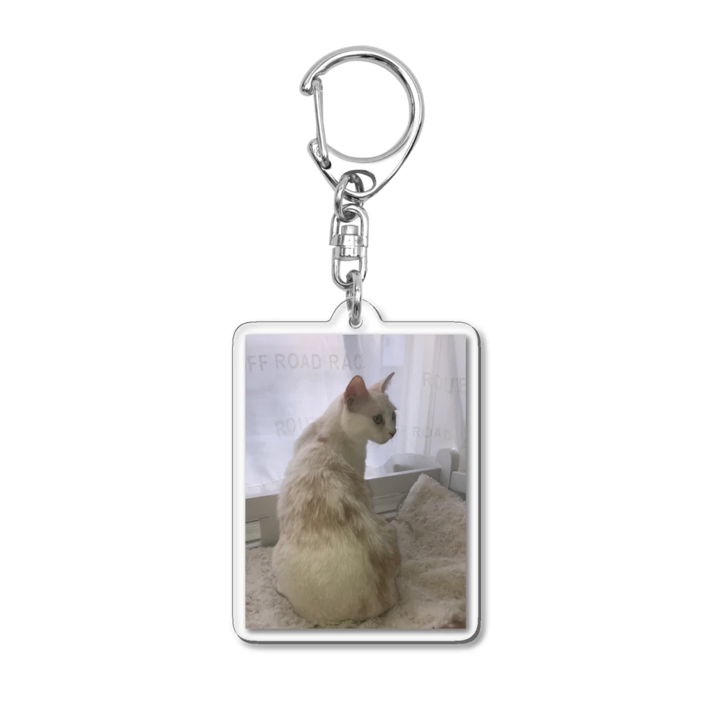 Mizuki・ASIA CATの後ろ美猫MILU🐾 Acrylic Key Chain