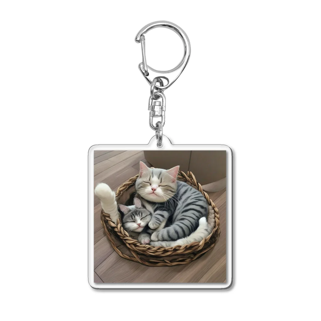 恥ずかしがり屋のねこショップのcute cat sleeping Acrylic Key Chain