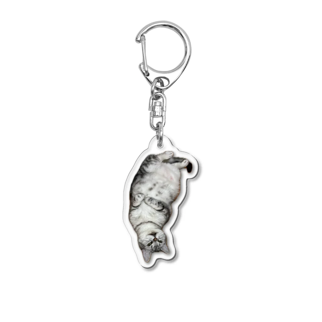 うちの猫ちゃんたちの変死体風とらと_No.1 Acrylic Key Chain