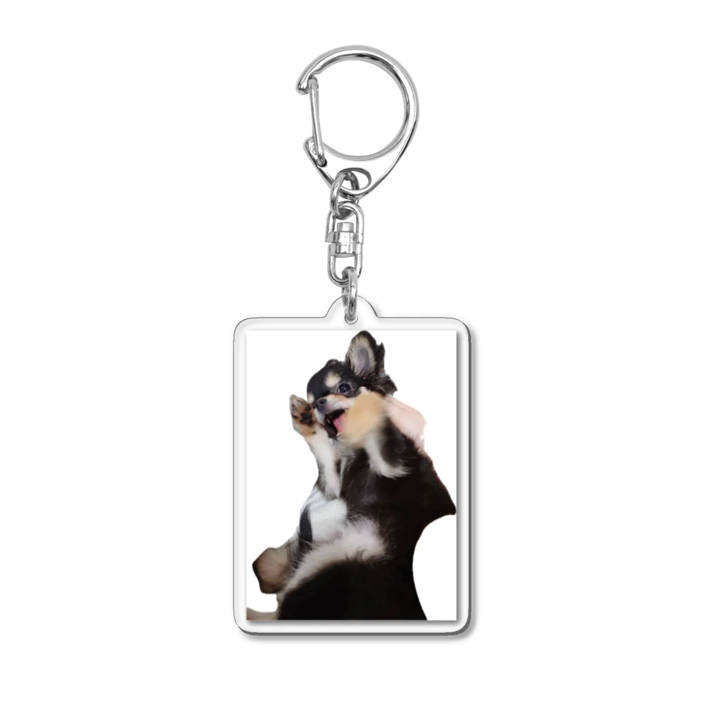 我が家の愛犬の我が家のアイドル犬ラキ Acrylic Key Chain